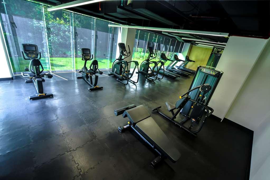 Hotel Galeria Plaza San Jeronimo Meksyk Udogodnienia zdjęcie The gym at the hotel