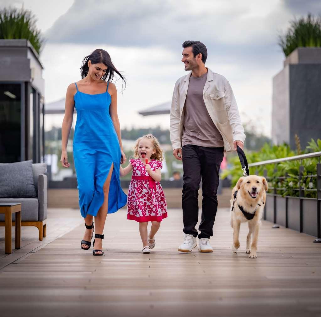 Hotel Galeria Plaza San Jeronimo Meksyk Wyposażenia zdjęcie A family with a dog