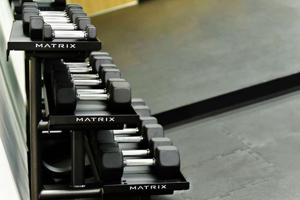 Hotel Galeria Plaza San Jeronimo Meksyk Udogodnienia zdjęcie Dumbbells