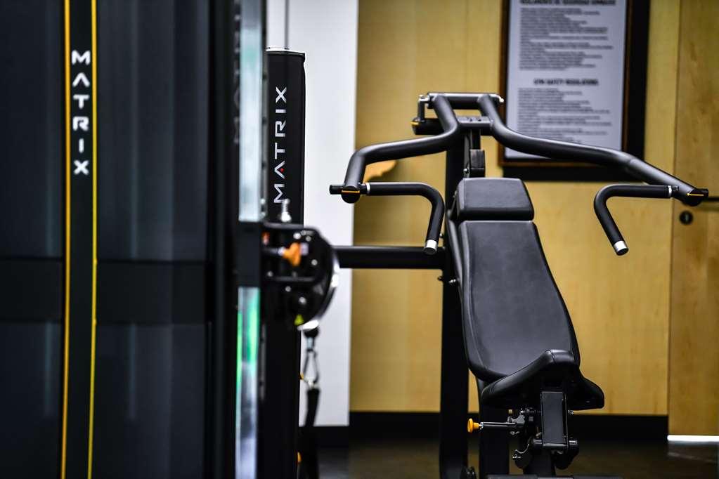 Hotel Galeria Plaza San Jeronimo Meksyk Udogodnienia zdjęcie A shoulder press machine