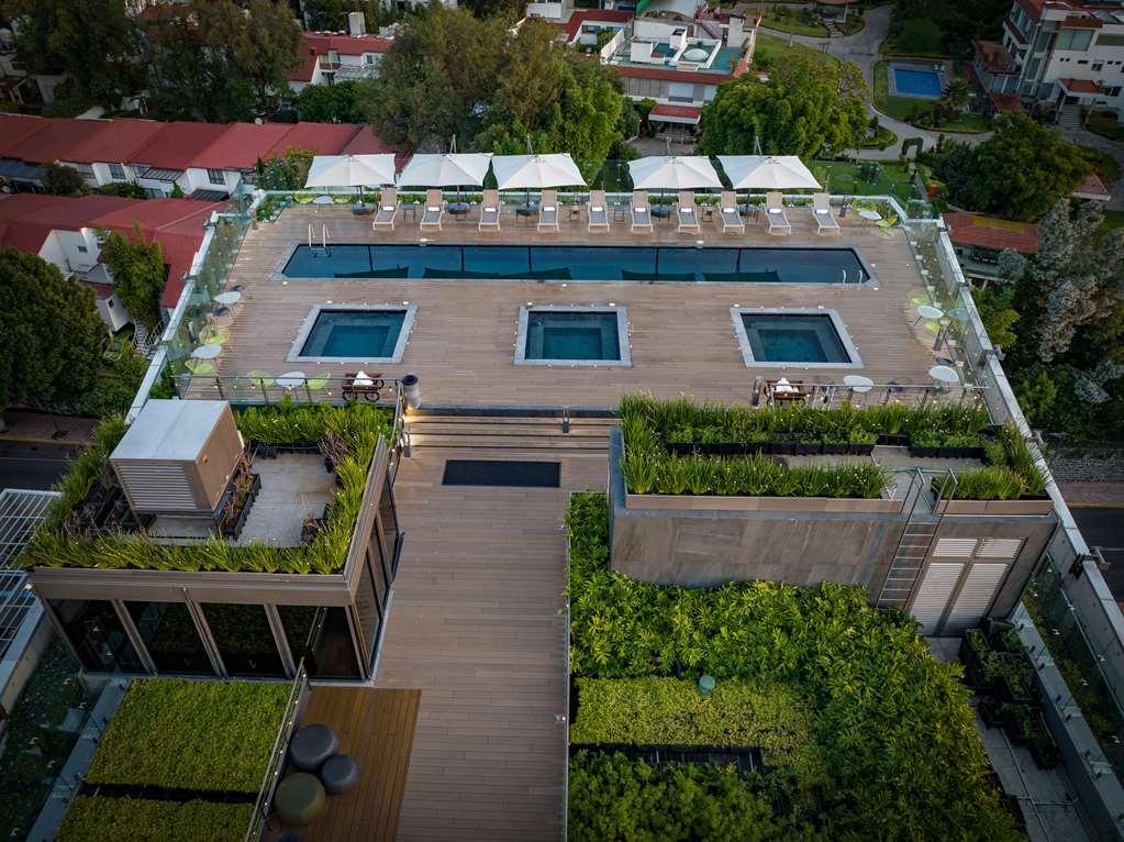 Hotel Galeria Plaza San Jeronimo Meksyk Udogodnienia zdjęcie The rooftop pool at the hotel